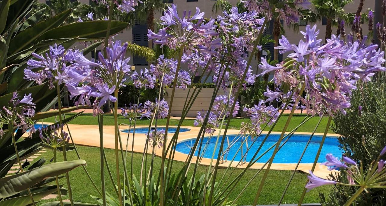 Apartment De Jardines 德尼亚 外观 照片